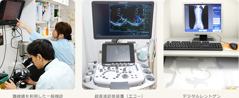 一般検診・超音波診断装置・デジタルレントゲン